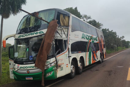 Tragédia na BR-262: Ônibus Invadiu a Contramão Após Falha na Pista e Colidiu com Caminhão, Deixando Dois Mortos e Uma Criança em Estado Grave