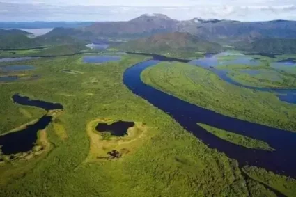 Grupo de cientistas dos EUA emite alerta urgente: Pantanal pode desaparecer até 2050 se nada for feito!