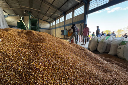 Corumbá Destina R$ 600 mil à Agricultura Familiar e Fortalece Produção Local