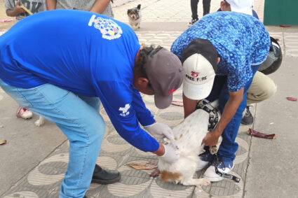 Mais de 1.700 Cães e Gatos São Vacinados Contra a Raiva em Ação Binacional na Fronteira com a Bolívia