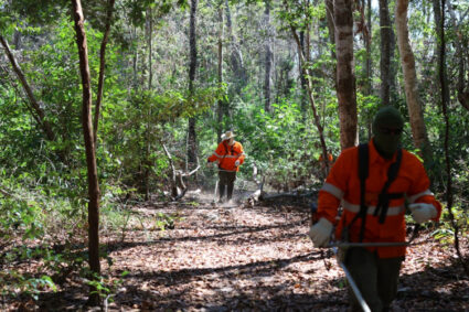Parceria estratégica reforça combate a incêndios e preservação da biodiversidade no Pantanal