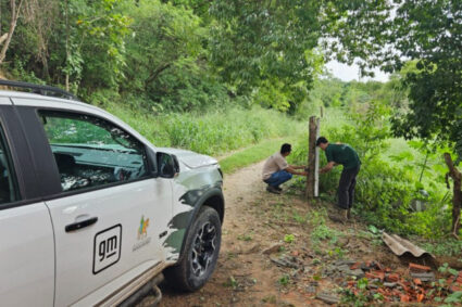 Furto de Equipamentos de Monitoramento de Onças Prejudica Conservação em Corumbá