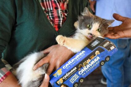 Corumbá Recebe Caravana da Castração: 1.400 Animais Agendados e Atendimentos Gratuitos Até 20 de Agosto