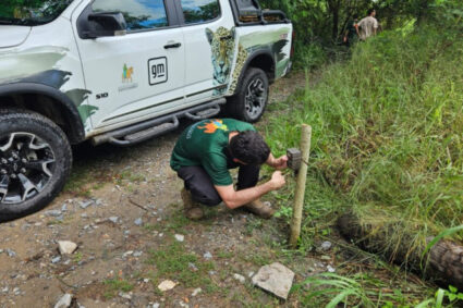 Moradores de Corumbá Ajudam na Recuperação de Equipamentos de Monitoramento de Onça-Pintada