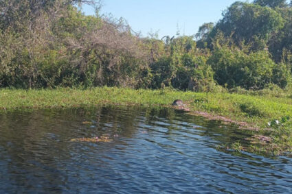 Corpo é Encontrado Boiando em Rio no Pantanal e Mobiliza Equipes de Resgate em Corumbá