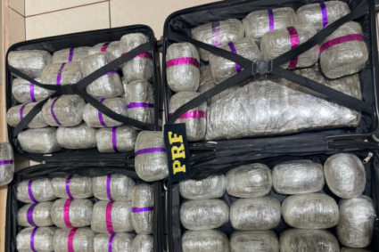 Apreensão milionária: Polícia intercepta ônibus e encontra mais de 30 kg de maconha na BR-262 em Corumbá