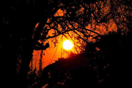 Mato Grosso do Sul terá primavera com calor extremo e frio intenso de até 8°C