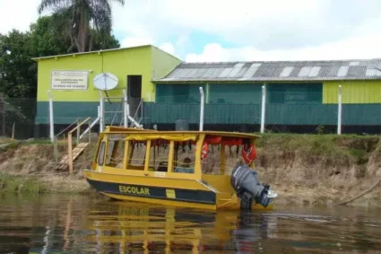 Escola no Coração do Pantanal Vira Alvo de Onças e Gera Alerta Máximo Entre Pais
