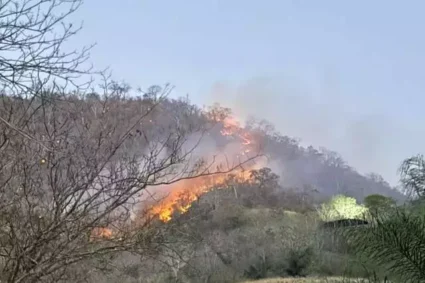 Incêndio em Bodoquena ameaça pousadas e avança em direção à famosa cachoeira Boca da Onça