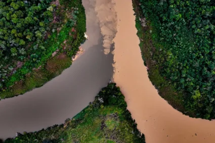 Pantanal Ganha Estatuto Histórico: Nova Lei Promete Proteger o Bioma e Valorizar Comunidades Locais