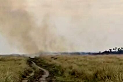 Incêndio avança no Pantanal: Bombeiros combatem último foco de fogo na fronteira com a Bolívia