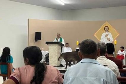 Anta Invade Altar em Plena Missa e Surpreende Fiéis: Momento Viraliza nas Redes