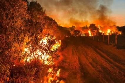 Mato Grosso do Sul enfrenta seca histórica, calor extremo e risco máximo de incêndios florestais