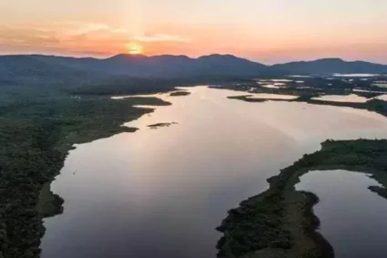 Previsão Climática Mostra Cenário Preocupante: Pantanal Pode Perder Equilíbrio Sem Ações Urgentes, Alerta SOS Pantanal