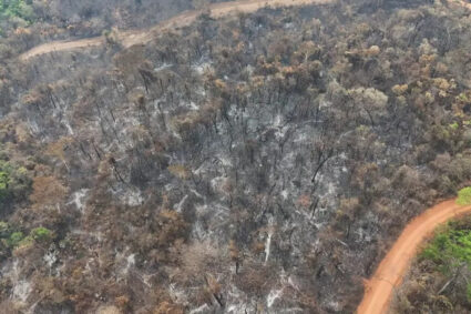 Mato Grosso do Sul decreta emergência por incêndios florestais — fogo atinge Corumbá e outras regiões do estado