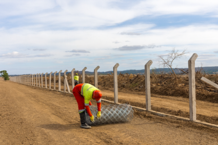 BR-262 Começa a Receber 170 km de Cercas Para Reduzir Mortes de Animais no Pantanal