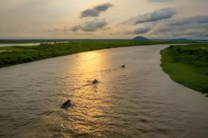 BNDES Lança Edital de R$ 5,9 Milhões Para Recuperar Áreas do Pantanal