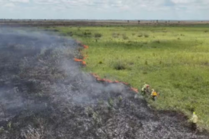 Incêndio Avança Sem Controle no Pantanal Há 3 Dias e Já Destrói Mais de 20 km de Vegetação