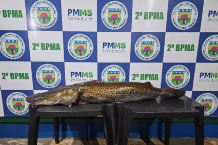 Pescador é flagrado com pintado gigante na Piracema e recebe multa de quase R$ 34 mil em MS
