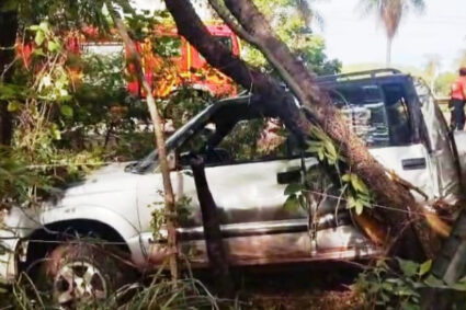 Casal Fica Ferido Após Caminhonete Sair da Pista e Bater em Árvores na BR-262, Próximo a Corumbá