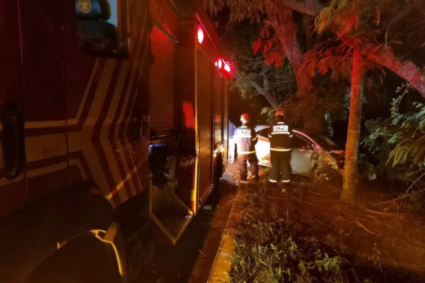 Conversão em rodovia termina em tragédia na BR-262: idosa morre e duas pessoas ficam feridas