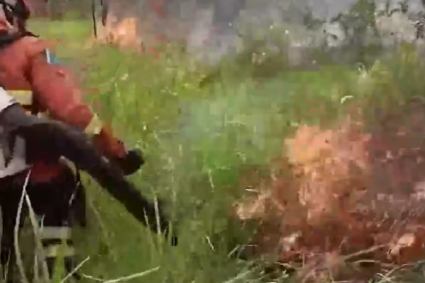 Incêndios no Pantanal consomem 10 hectares em apenas 24 horas e mobilizam Corpo de Bombeiros em Corumbá