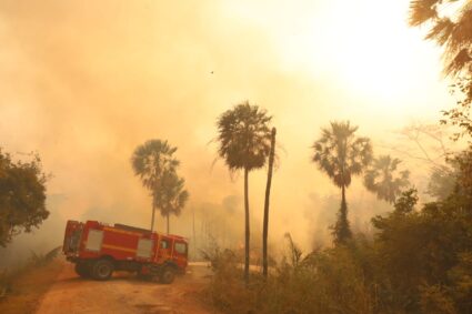 El Niño eleva risco de incêndios no Pantanal e MS reforça resposta com bases avançadas, aeronaves e alta tecnologia