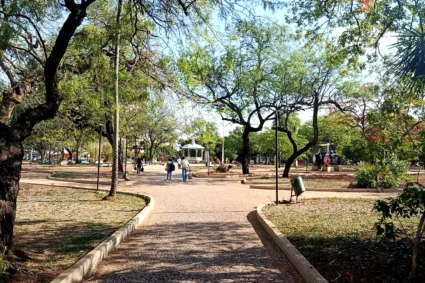 Corumbá Vai Ganhar Plano de Arborização para Reduzir o Calor e Transformar a Paisagem Urbana