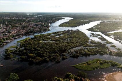 O Pantanal respira: Nível do Rio Paraguai atinge marca histórica de recuperação em fevereiro de 2026