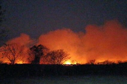 Polícia Federal apura incêndios na APA Baía Negra e investiga suspeita de crime ambiental em Ladário