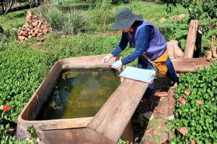 Burocracia trava mais de R$ 100 milhões e agrava crise de chikungunya em aldeias de MS