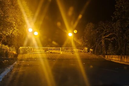 Onça-pintada volta a circular em Corumbá e Prefeitura prepara operação de captura com apoio de forças ambientais