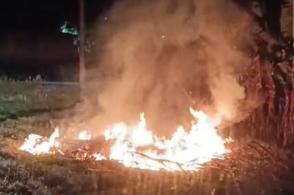 Corumbá registra três incêndios em vegetação durante a noite e Bombeiros reforçam alerta sobre terrenos abandonados