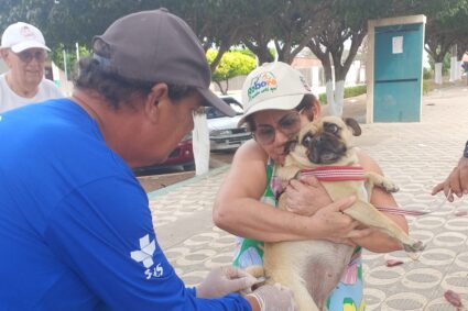 Corumbá inicia vacinação antirrábica neste sábado e percorre bairros de casa em casa