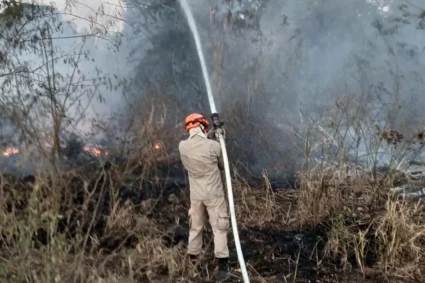 Três incêndios em vegetação mobilizam Bombeiros em Corumbá e Ladário; veja onde ocorreram
