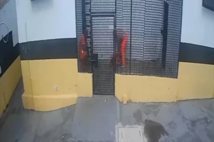 “Buxexa” parte para cima de presos no presídio de Corumbá, é derrubado e acaba isolado; entenda o que aconteceu e veja o vídeo