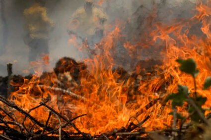 11 incêndios em vegetação são registrados em apenas 72 horas em Corumbá; calor passa dos 40°C e aumenta alerta