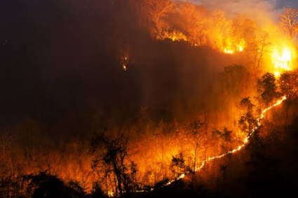 El Niño ganha força e pode ampliar calor extremo, seca e risco de incêndios em Corumbá e no MS; entenda os riscos para a saúde