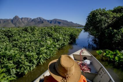 Corumbá prepara plano de turismo para ampliar investimentos, empregos e projeção do destino no Pantanal