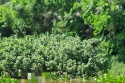 Turista desaparecido no Rio Paraguai é encontrado a 17 km do local onde sumiu em Corumbá após três dias de buscas