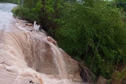 Chuva de 76,8 mm provoca alagamentos, quedas de árvores e interdição de rodovia em Corumbá