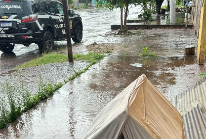 Polícia Civil resgata cachorro idoso em estado crítico após denúncia de maus-tratos em Corumbá; tutor responde pelo crime